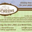 Four Paws business card